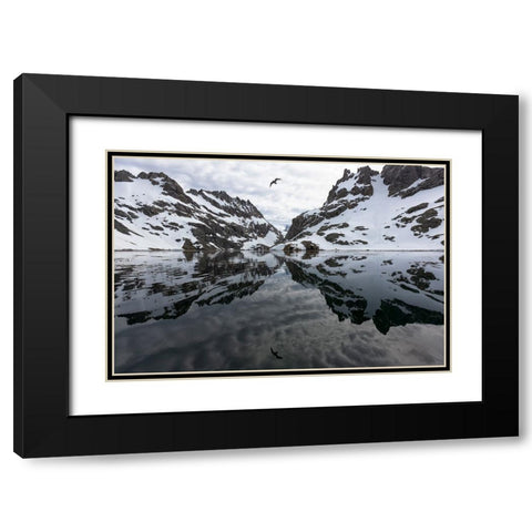 Southern Ocean-South Georgia-Larsen Harbor-Drygalski Fjord Black Modern Wood Framed Art Print with Double Matting by Goff, Ellen B.