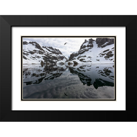 Southern Ocean-South Georgia-Larsen Harbor-Drygalski Fjord Black Modern Wood Framed Art Print with Double Matting by Goff, Ellen B.