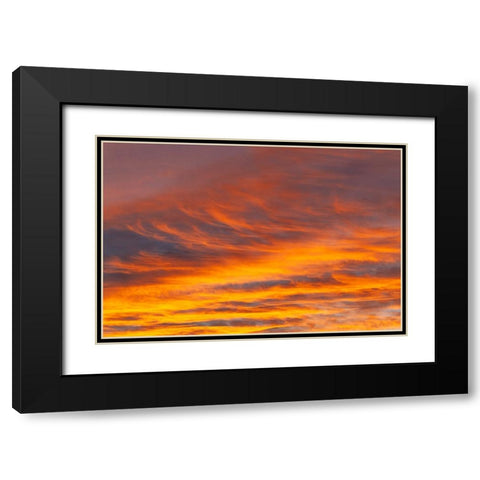 Southern Ocean-South Georgia-Sunset at South Georgia Black Modern Wood Framed Art Print with Double Matting by Goff, Ellen B.
