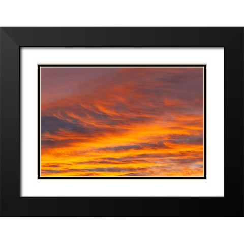 Southern Ocean-South Georgia-Sunset at South Georgia Black Modern Wood Framed Art Print with Double Matting by Goff, Ellen B.
