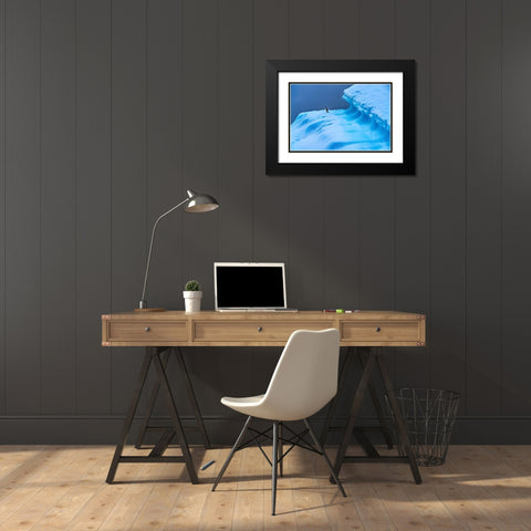 Adelie Penguin blue iceberg Charlotte Bay-Antarctica  Black Modern Wood Framed Art Print with Double Matting by Perry, William