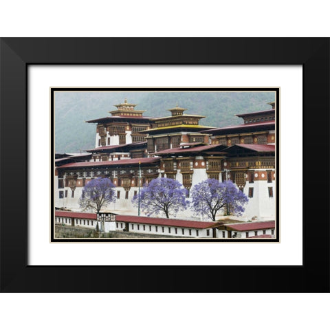 Bhutan Punakha Dzong palace with jacaranda Black Modern Wood Framed Art Print with Double Matting by Kirkland, Dennis