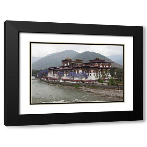 Bhutan Punakha Dzong palace with jacaranda Black Modern Wood Framed Art Print with Double Matting by Kirkland, Dennis