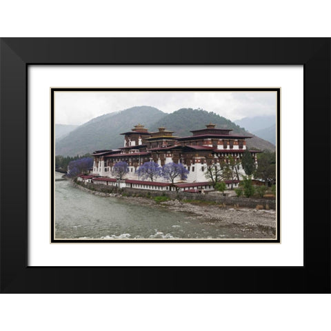 Bhutan Punakha Dzong palace with jacaranda Black Modern Wood Framed Art Print with Double Matting by Kirkland, Dennis