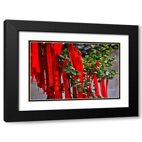 Asia-China-Zhujiajiao (Venice of the East)-Red Ribbons of Wish to a Higher Power Black Modern Wood Framed Art Print with Double Matting by Looney, Hollice