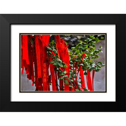 Asia-China-Zhujiajiao (Venice of the East)-Red Ribbons of Wish to a Higher Power Black Modern Wood Framed Art Print with Double Matting by Looney, Hollice