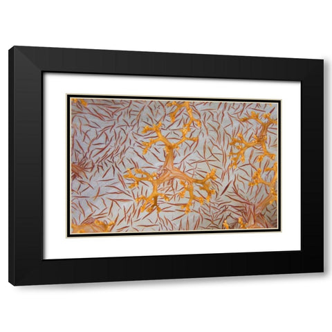 Indonesia, Papua Detail of a soft coral polyps Black Modern Wood Framed Art Print with Double Matting by Shimlock, Jones