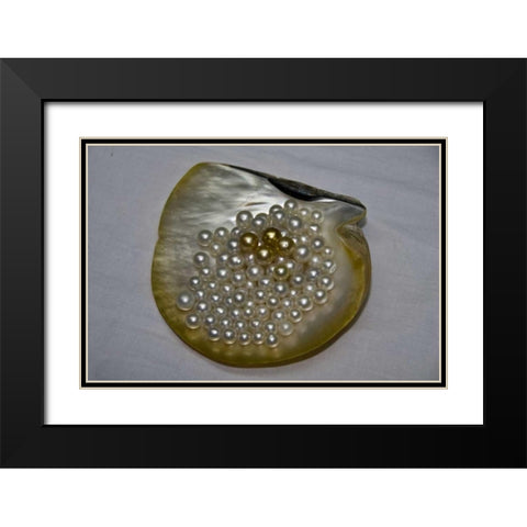 Cendana pearls from Aljui Bay, Papua, Indonesia Black Modern Wood Framed Art Print with Double Matting by Shimlock, Jones