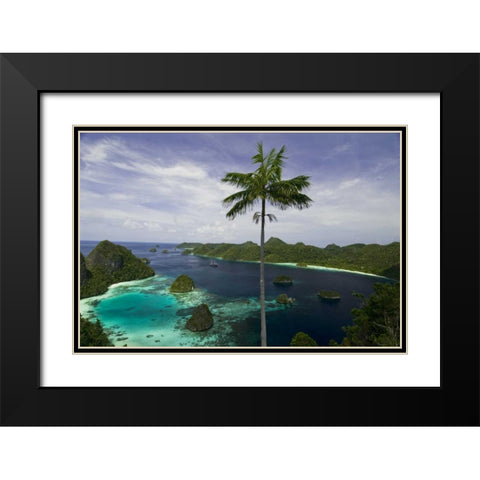 Phinisi schooner, New Guinea Island, Indonesia Black Modern Wood Framed Art Print with Double Matting by Shimlock, Jones