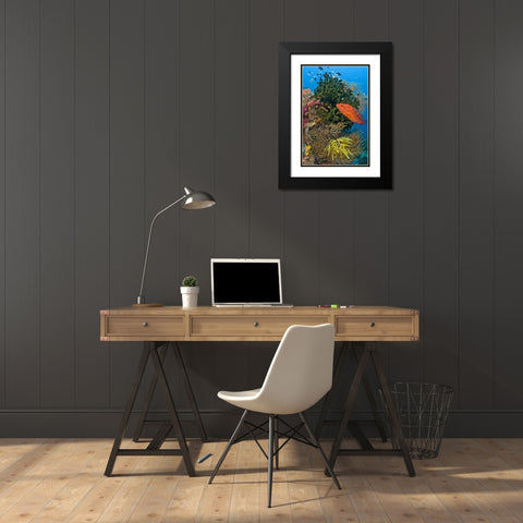 Coral trout swims past reef, Papua, Indonesia Black Modern Wood Framed Art Print with Double Matting by Shimlock, Jones