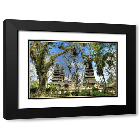 Indonesia, Bali, Mengwi Pura Taman Ayun temple Black Modern Wood Framed Art Print with Double Matting by Shimlock, Jones