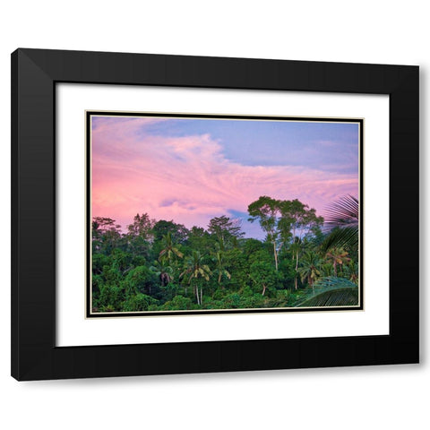 Indonesia-Bali-Ubud-Sunrise in the rainforest Black Modern Wood Framed Art Print with Double Matting by Eggers, Terry