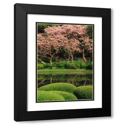 Japan, Tokyo Imperial Palace East Gardens Black Modern Wood Framed Art Print with Double Matting by Ross, Nancy ,  Steve