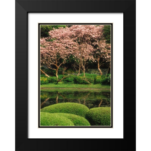 Japan, Tokyo Imperial Palace East Gardens Black Modern Wood Framed Art Print with Double Matting by Ross, Nancy ,  Steve