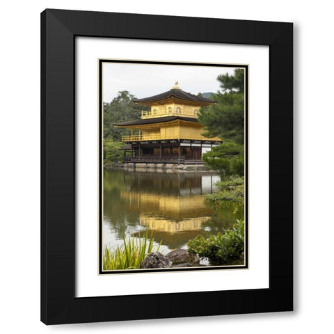 Japan, Kyoto Temple of the Golden Pavilion Black Modern Wood Framed Art Print with Double Matting by Flaherty, Dennis