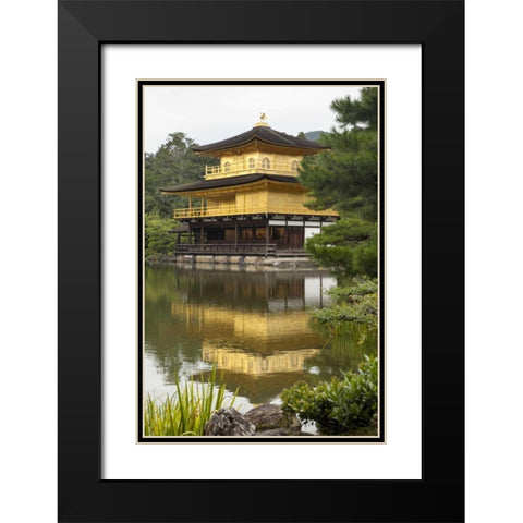 Japan, Kyoto Temple of the Golden Pavilion Black Modern Wood Framed Art Print with Double Matting by Flaherty, Dennis