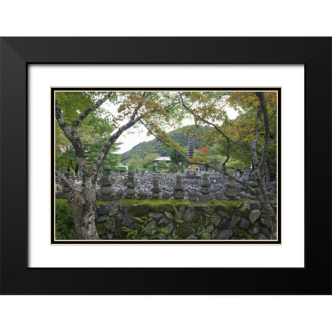 Japan, Kyoto Thousands of Buddhist statuettes Black Modern Wood Framed Art Print with Double Matting by Flaherty, Dennis