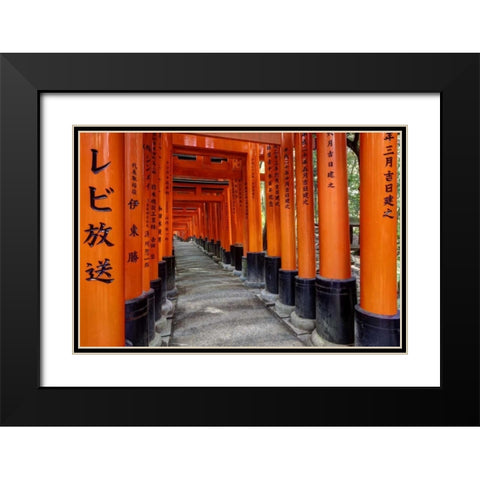 Japan, Kyoto, Fushimi-Inari-Taisha Torii Gates Black Modern Wood Framed Art Print with Double Matting by Flaherty, Dennis