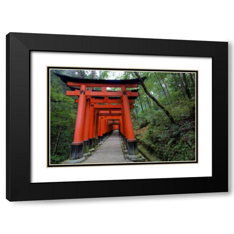 Japan, Kyoto, Fushimi-Inari-Taisha Torii Gates Black Modern Wood Framed Art Print with Double Matting by Flaherty, Dennis