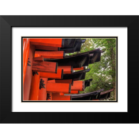 Japan, Kyoto, Fushimi-Inari-Taisha Torii Gates Black Modern Wood Framed Art Print with Double Matting by Flaherty, Dennis