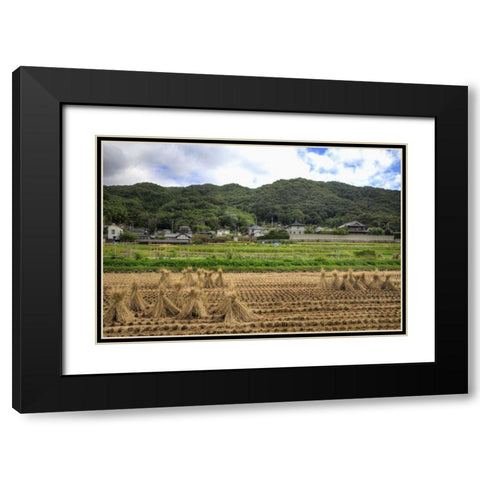 Japan, Nara, Heguri-cho Field of drying rice Black Modern Wood Framed Art Print with Double Matting by Flaherty, Dennis