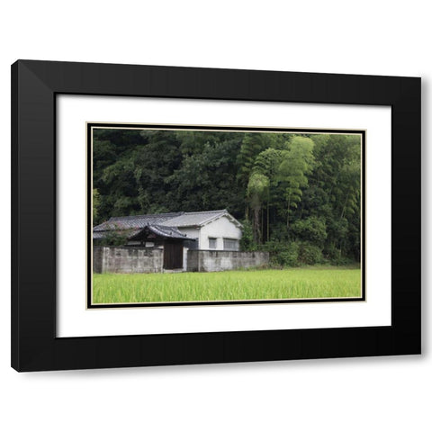 Japan, Heguri-cho Rural home next to rice field Black Modern Wood Framed Art Print with Double Matting by Flaherty, Dennis