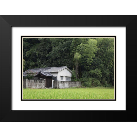 Japan, Heguri-cho Rural home next to rice field Black Modern Wood Framed Art Print with Double Matting by Flaherty, Dennis