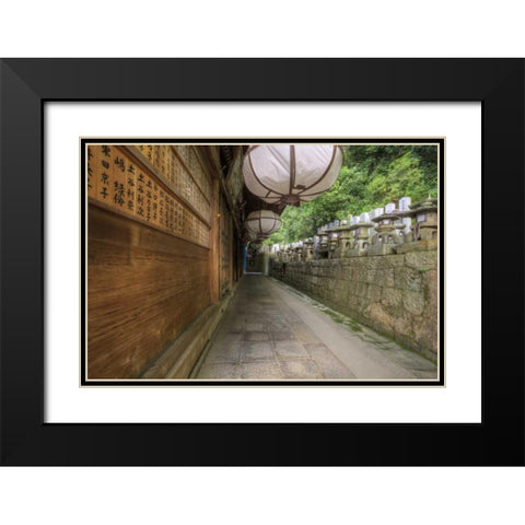 Japan, Nara, Nara Park Buddhist temple Black Modern Wood Framed Art Print with Double Matting by Flaherty, Dennis