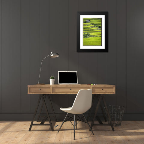 Japan, Nara, Soni Plateau Rice terraces Black Modern Wood Framed Art Print with Double Matting by Flaherty, Dennis