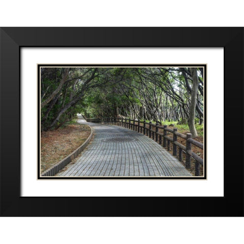 Japan, Wakagama Prefecture Brick pathway Black Modern Wood Framed Art Print with Double Matting by Flaherty, Dennis