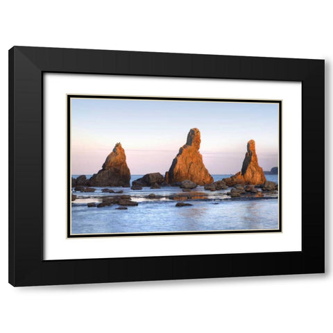 Japan, Wakagama Hashiguiiwa Rocks at sunset Black Modern Wood Framed Art Print with Double Matting by Flaherty, Dennis