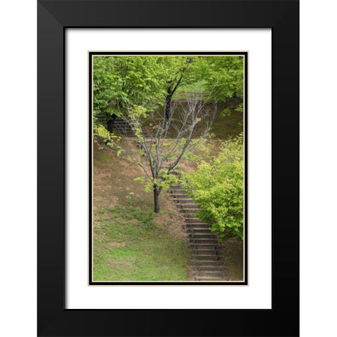 Asia, Japan, Heguri-cho Stairway in a park Black Modern Wood Framed Art Print with Double Matting by Flaherty, Dennis