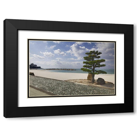 Japan, Shiranahma Scenic of White Harbor Black Modern Wood Framed Art Print with Double Matting by Flaherty, Dennis