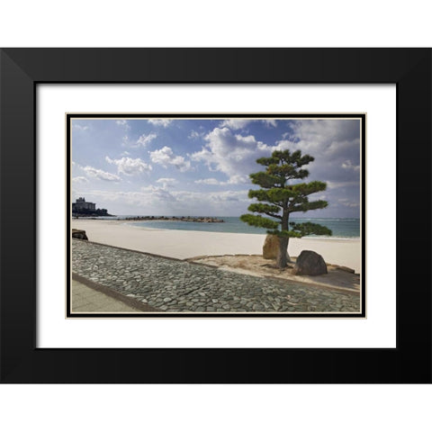 Japan, Shiranahma Scenic of White Harbor Black Modern Wood Framed Art Print with Double Matting by Flaherty, Dennis