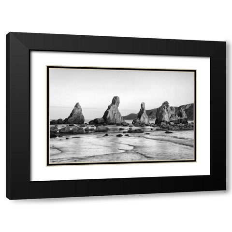 Japan, Kushimoto Hashigui-iwa Rocks on the shore Black Modern Wood Framed Art Print with Double Matting by Flaherty, Dennis