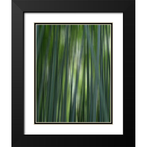 Japan-Kyoto Abstract of Arashiyama Bamboo Grove Black Modern Wood Framed Art Print with Double Matting by Jaynes Gallery