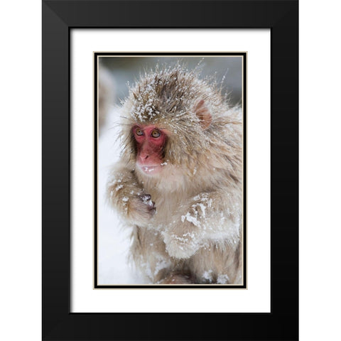 Japan-Nagano  Black Modern Wood Framed Art Print with Double Matting by Goff, Ellen