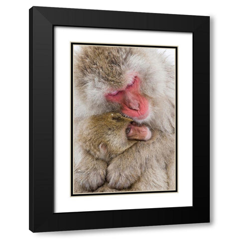 Japan-Nagano  Black Modern Wood Framed Art Print with Double Matting by Goff, Ellen