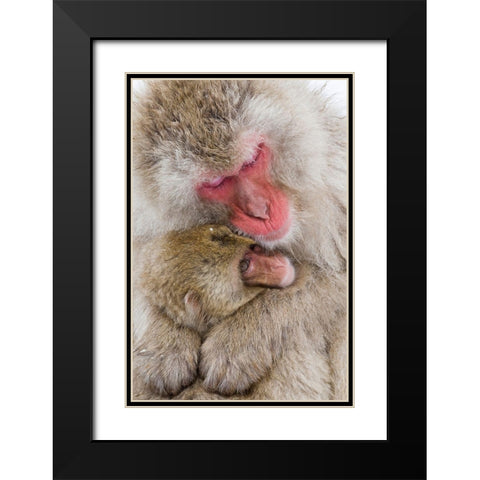 Japan-Nagano  Black Modern Wood Framed Art Print with Double Matting by Goff, Ellen