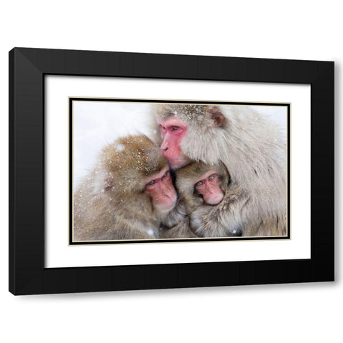 Japan-Nagano  Black Modern Wood Framed Art Print with Double Matting by Goff, Ellen