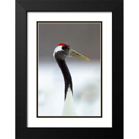 Japan-Hokkaido-Kushiro  Black Modern Wood Framed Art Print with Double Matting by Goff, Ellen