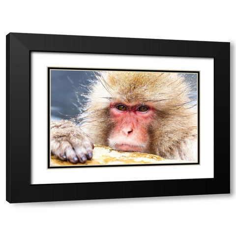 Japan-Nagano Black Modern Wood Framed Art Print with Double Matting by Goff, Ellen