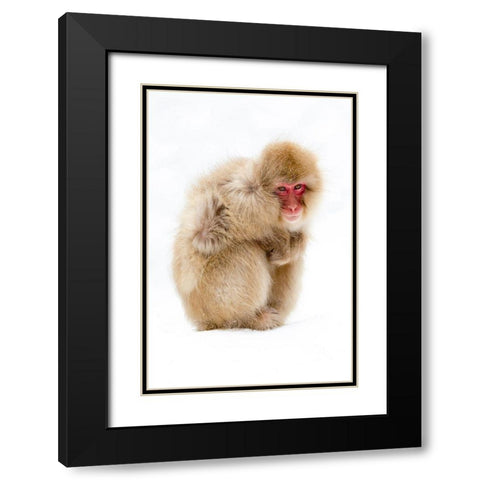 Japan-Nagano  Black Modern Wood Framed Art Print with Double Matting by Goff, Ellen