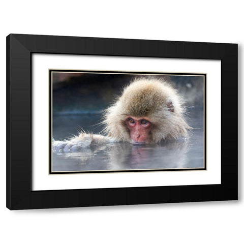 Japan-Nagano Portrait of a juvenile Black Modern Wood Framed Art Print with Double Matting by Goff, Ellen