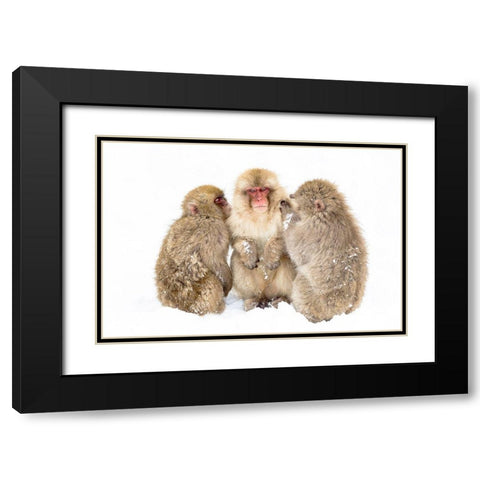 Japan-Nagano  Black Modern Wood Framed Art Print with Double Matting by Goff, Ellen