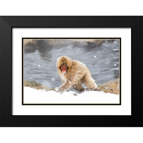 Japan-Nagano Black Modern Wood Framed Art Print with Double Matting by Goff, Ellen