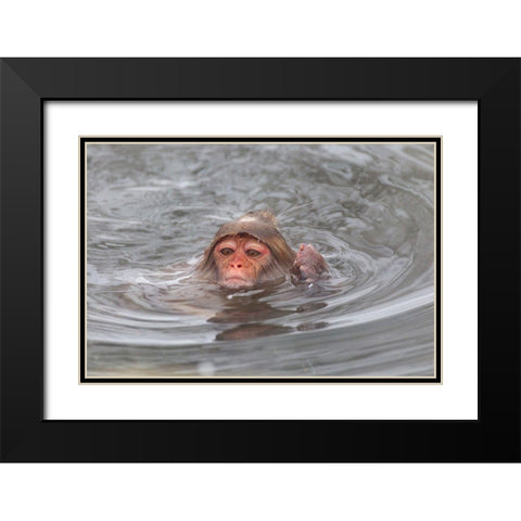 Japan-Nagano Black Modern Wood Framed Art Print with Double Matting by Goff, Ellen