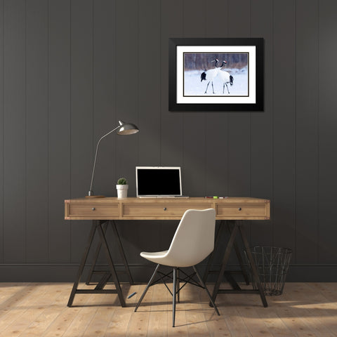 Japan-Hokkaido-Kushiro  Black Modern Wood Framed Art Print with Double Matting by Goff, Ellen