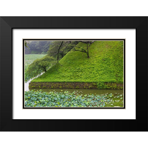 Lotus pond in the Royal Palace-Tokyo-Japan Black Modern Wood Framed Art Print with Double Matting by Su, Keren
