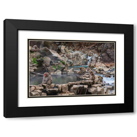Japanese snow monkeys-macaques-sitting around the hot springs of Jigokudani Park Black Modern Wood Framed Art Print with Double Matting by Haddad, Sheila